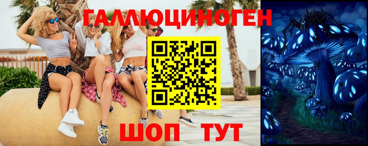 Галлюциногенные грибы GOLDEN TEACHER Новороссийск