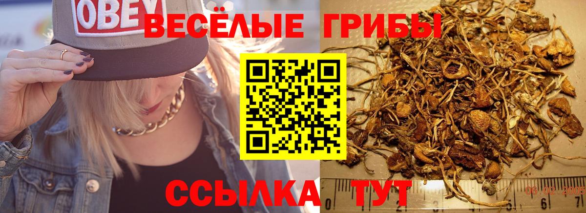 ГАШИШ  Alpha PVP СОЛЬ кристаллы  Вход с VPN  Новороссийск  Бошки Шишки  КОКАИН  ГАШИШ  Экстази  Меф  МЕФ  