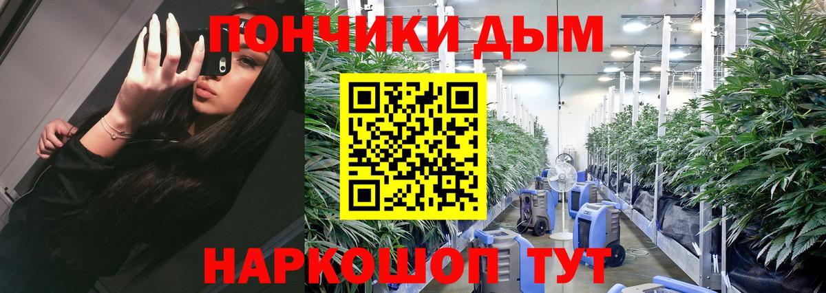 Бошки марихуана гибрид Новороссийск