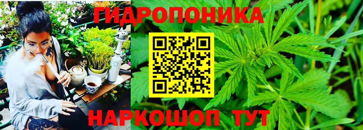 Канабис SATIVA & INDICA  Бошки Шишки LSD WEED  Вход с VPN  Новороссийск  МАРИХУАНА марихуана  Бошки Шишки конопля 